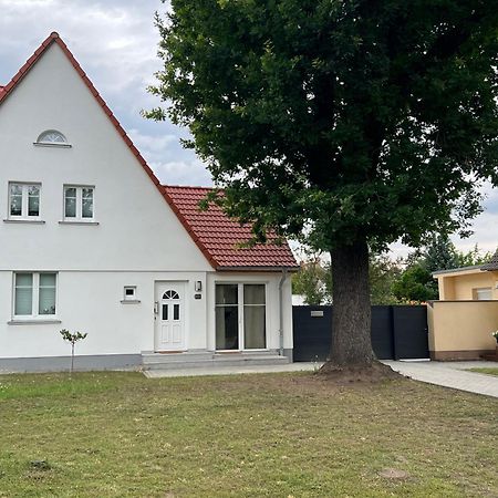 Ferienhaus Constanze Muecheln Am Geiseltalsee Stobnitz Eksteriør billede